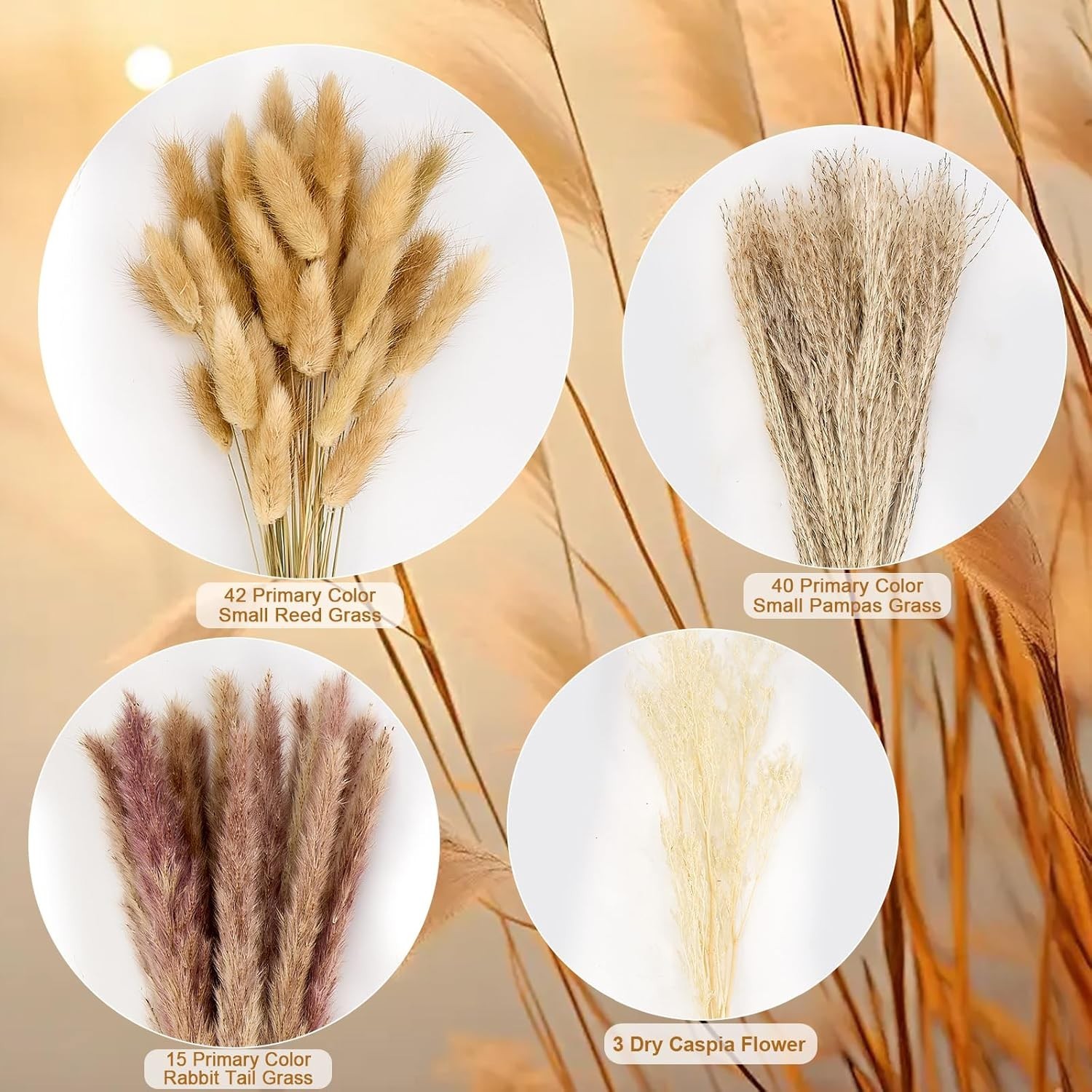 Dried Pampas Grass Bouquet Boho Decor Wedding Centerpiece Fall Vase