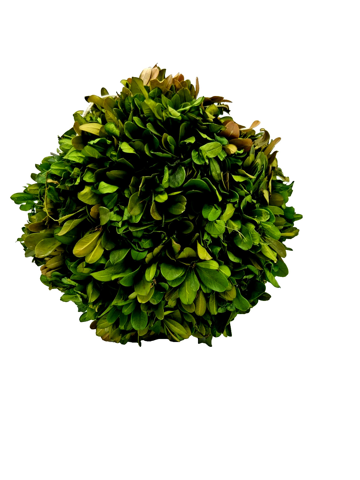 Decorative Permanent Botanicall Boxwood 7-inch Topiary Ball