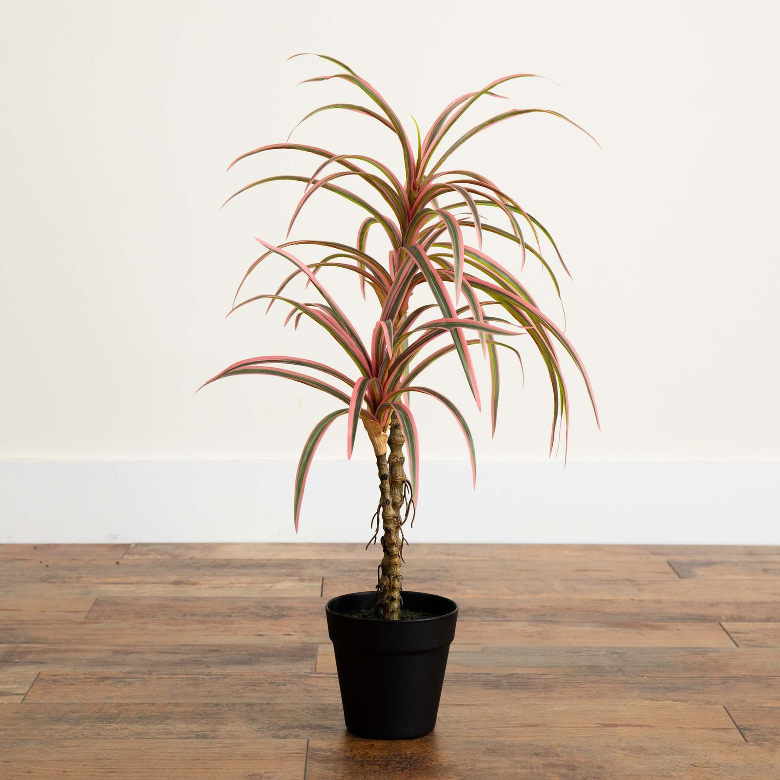2 Foot Artificial Dracaena Marginata Plant Lifelike Indoor Desktop Decor