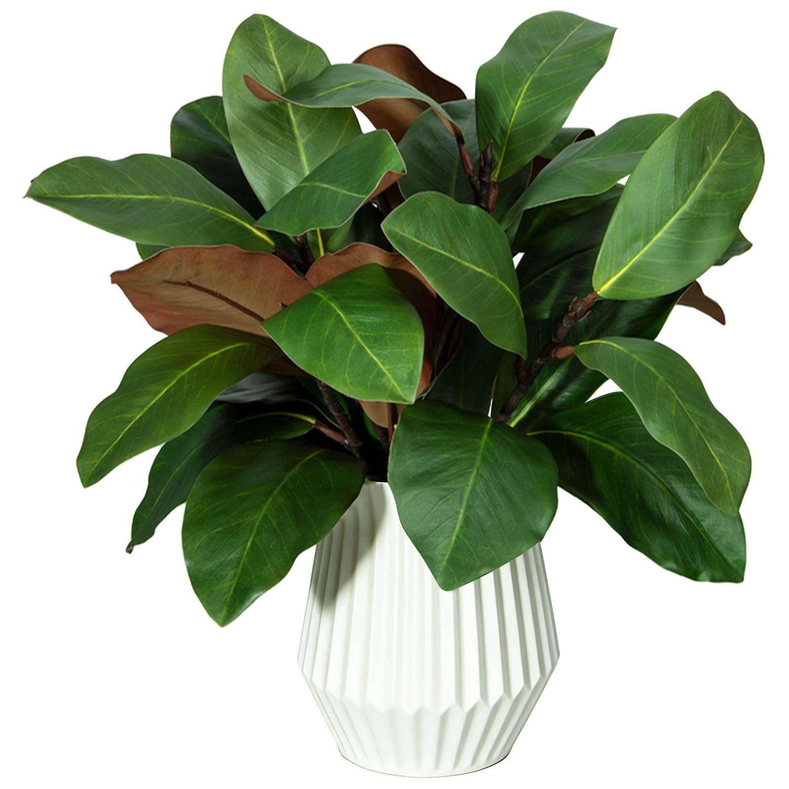 XONOR Artificial Magnolia Leaves Branches Fake Greenery Leaf Faux Magnolia St…