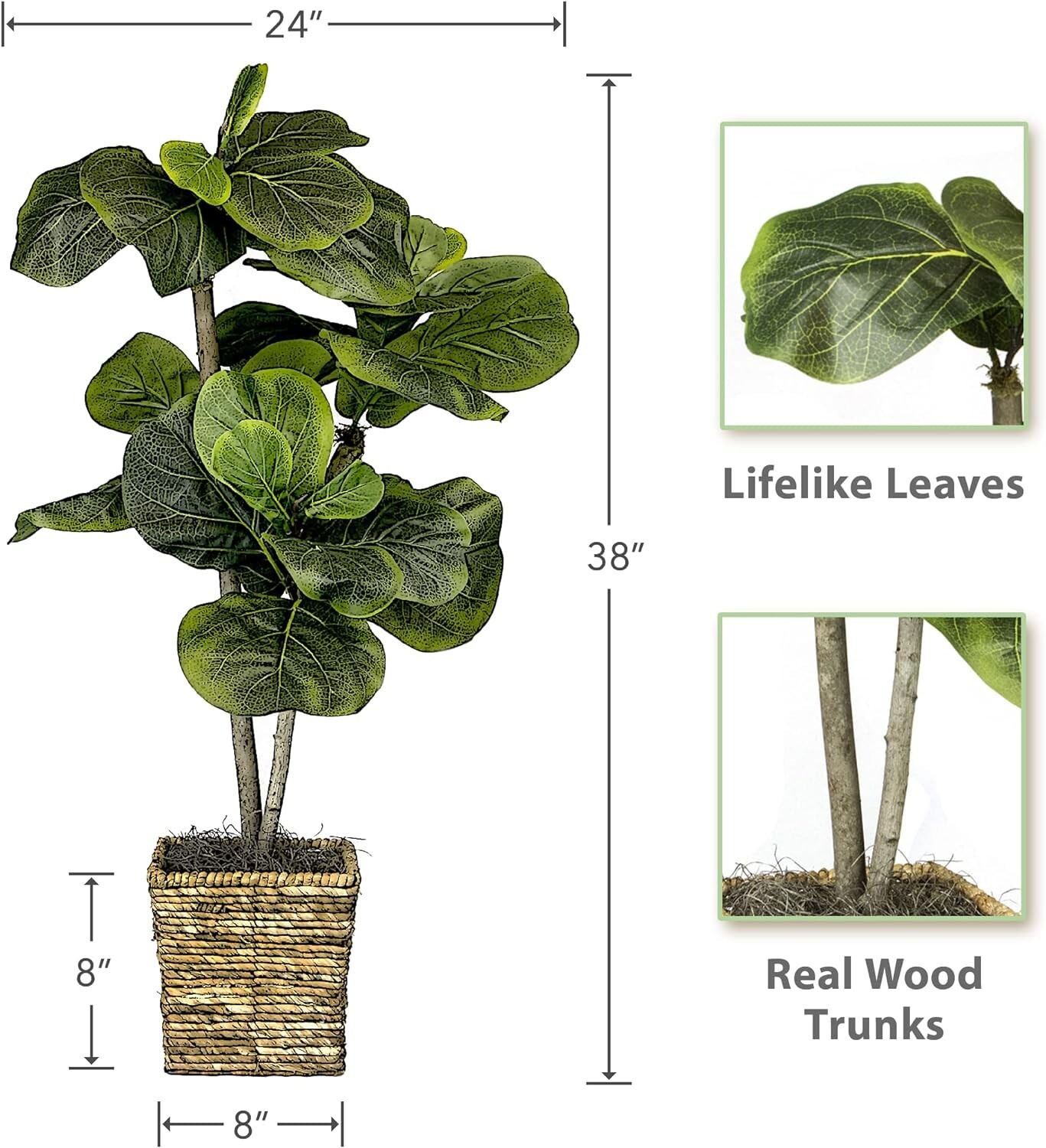 38-Inch Fiddle House Ficus In Woven Basket Creative, Imaginative, USA-Assembled