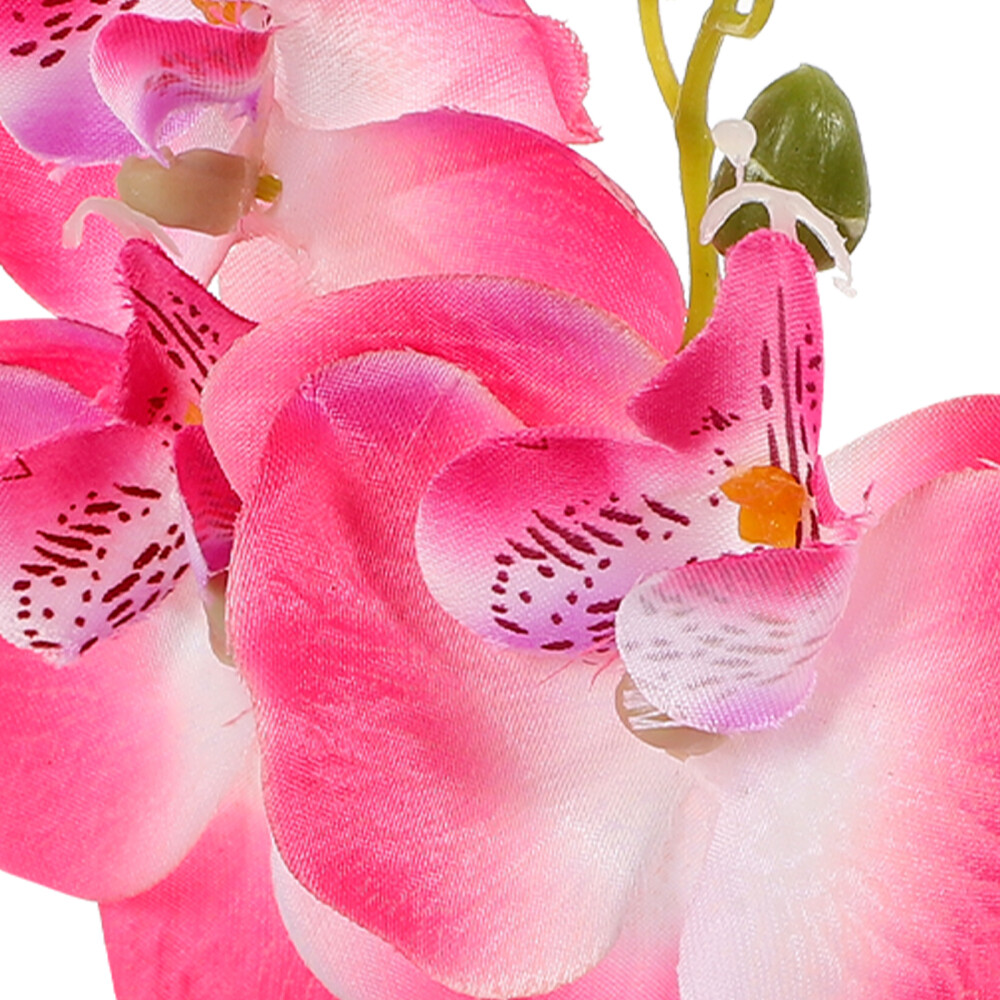 Phalaenopsis Bonsai Prop Simulation Phalaenopsis Plant Fake Phalaenopsis Decor