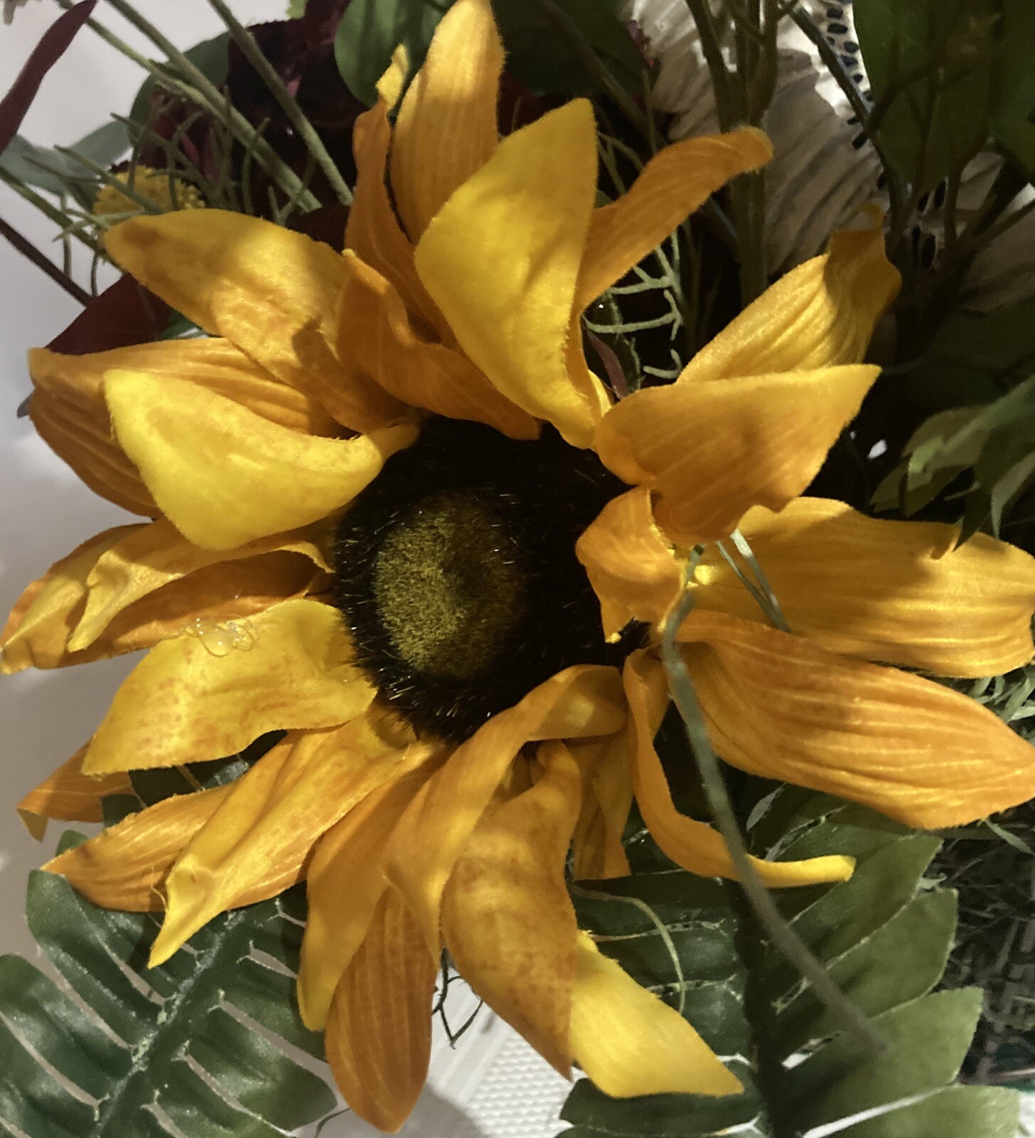 The Stately White And Red Rooster With White Cosmos And Yellow Sunflower