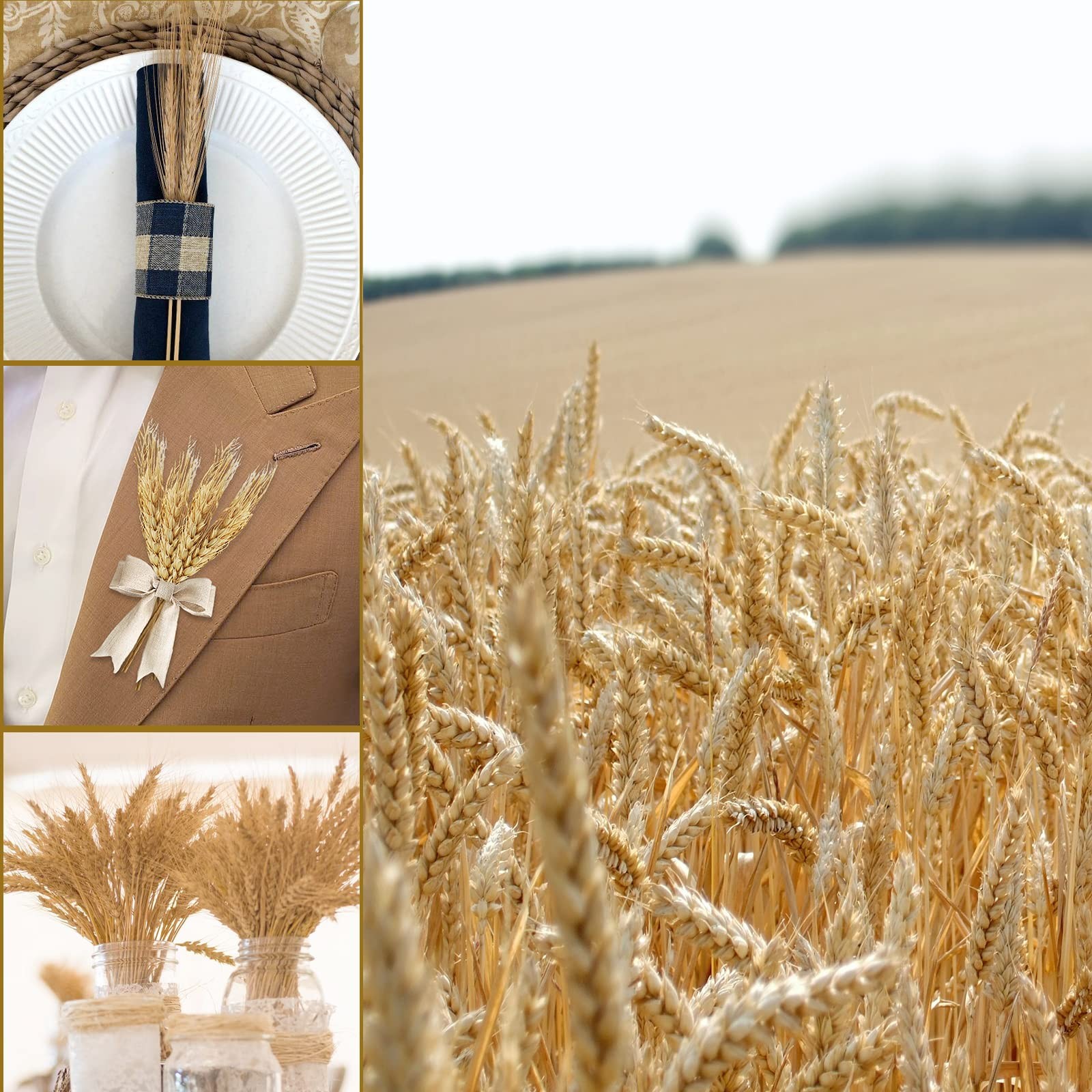 100 Stems 17.7 Inches Dried Wheat Stalks Dried Flowers 100% Natural for Home