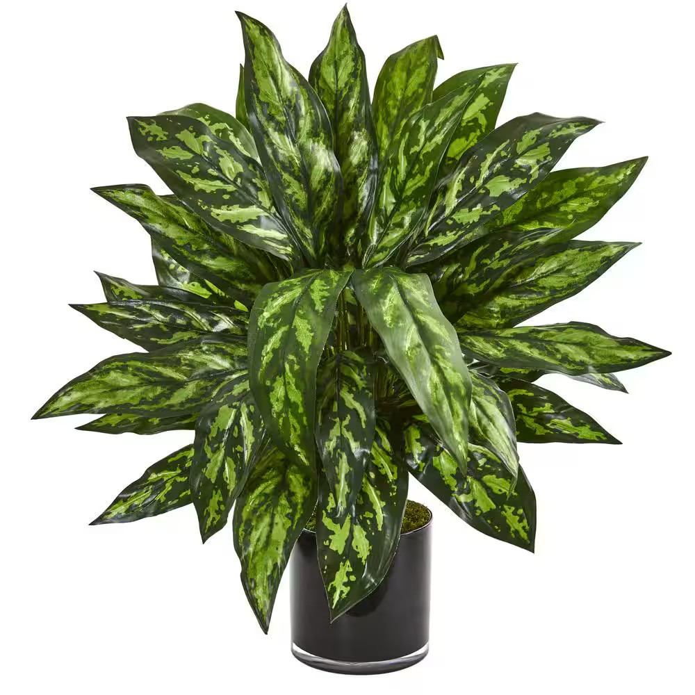 Indoor Silver King Artificial Plant in Black Glass Vase