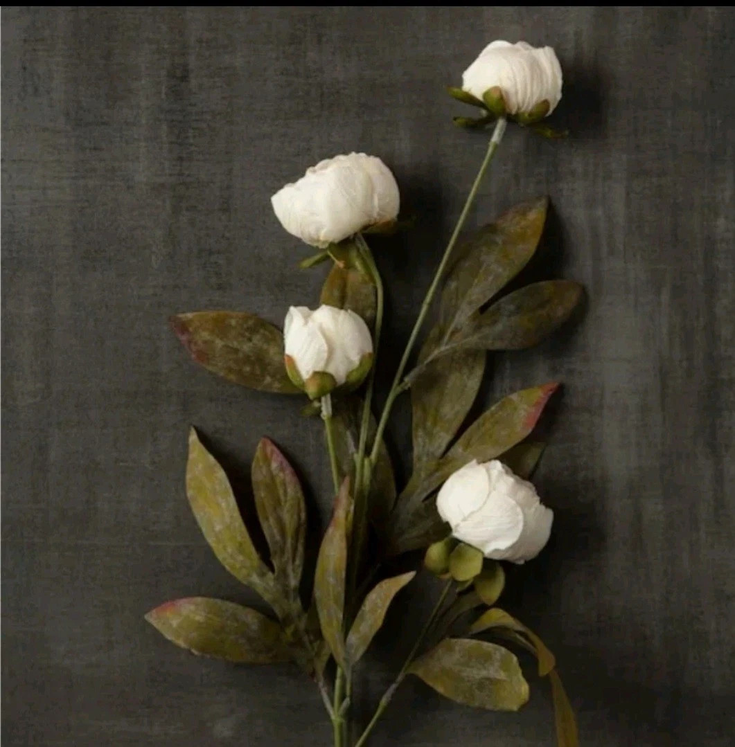 Michael’s Ashland Cream Peony Stems Set of 8 28” Viral TikTok Flowers FREE SHIP