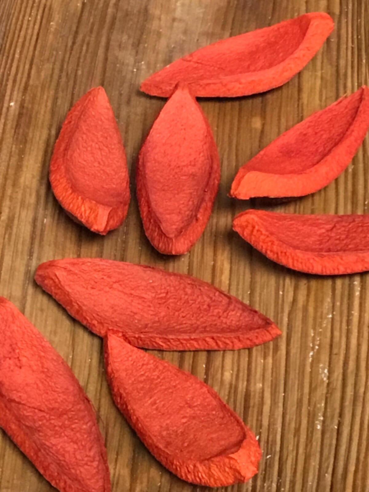 Hawaii Bob’s 20pc Orange Wood Pieces Floral Decor Coastal Decor Dried Decor