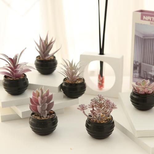 Set of 6 Fake Succulent Plants in Black Pot Artificial Pink Purple-black Pot