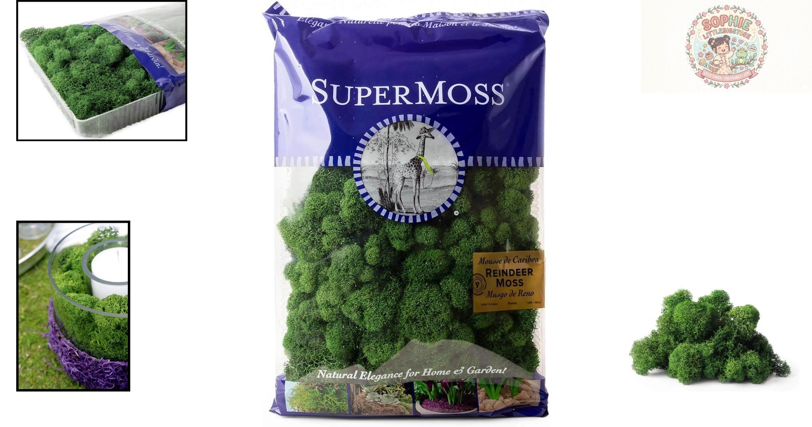 Long-Lasting 8oz Preserved Reindeer Moss for Elegant Flower Arrangement Accents