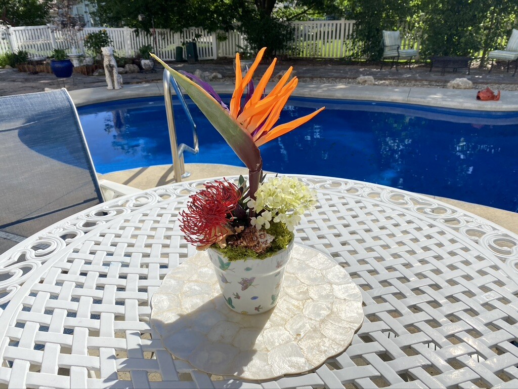 Decorative Planter with Dragon Flowers and Tropical Flowers in Butterfly Pot