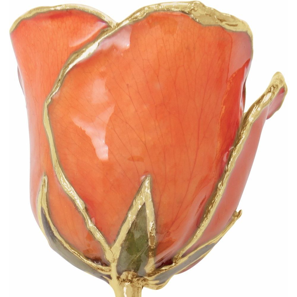 24k Gold Dipped Orange Lacquer Real Rose Valentine’s Day Holiday Gift