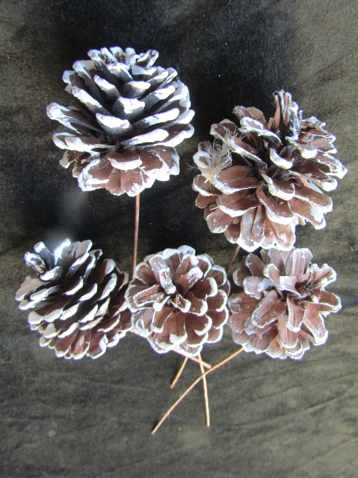 Pinecone Plant Picks Lot of 5 Vintage Christmas