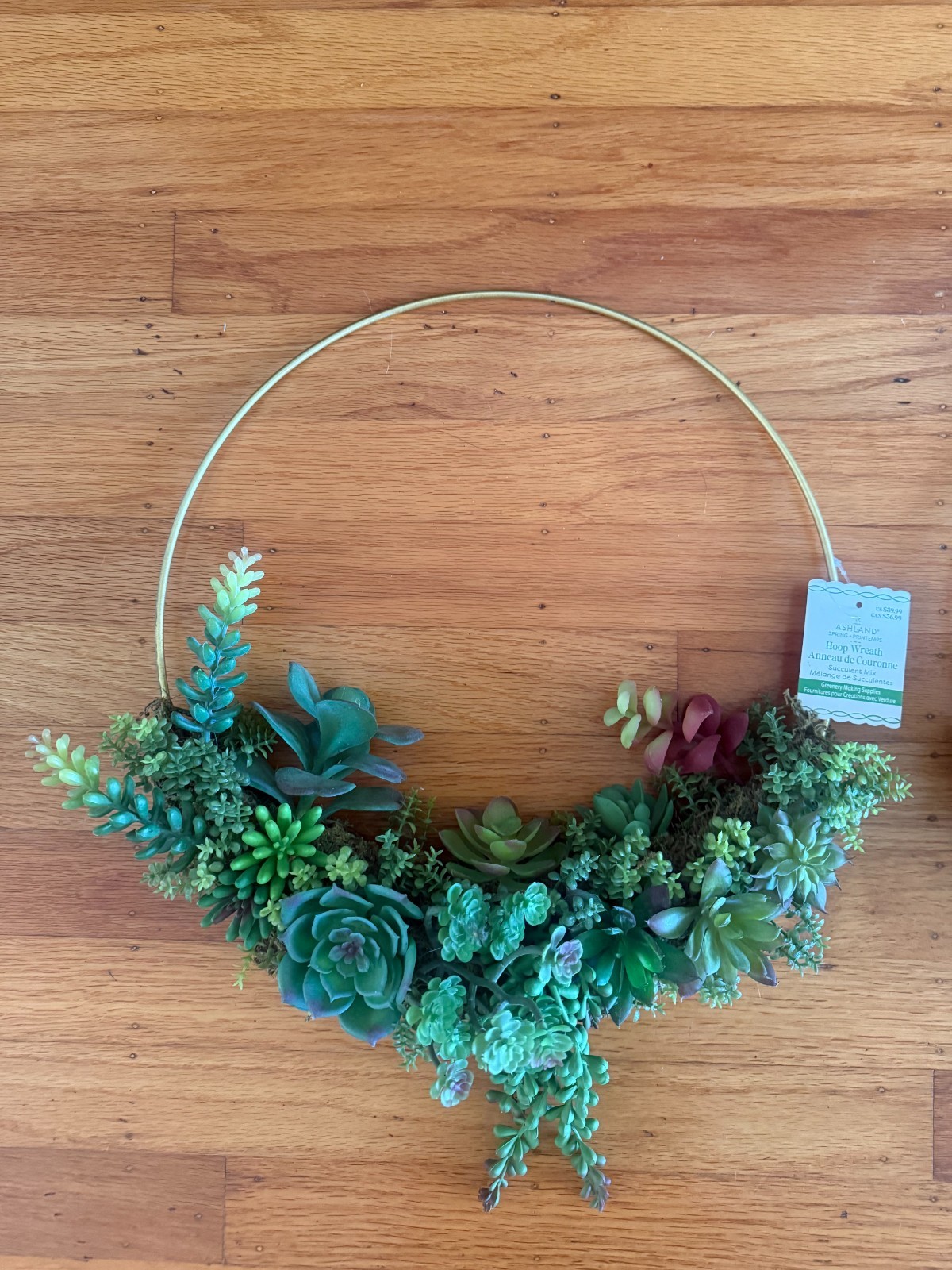 TWO (2) NWT Succulent Wreaths – ASHLAND brand (Michael’s)