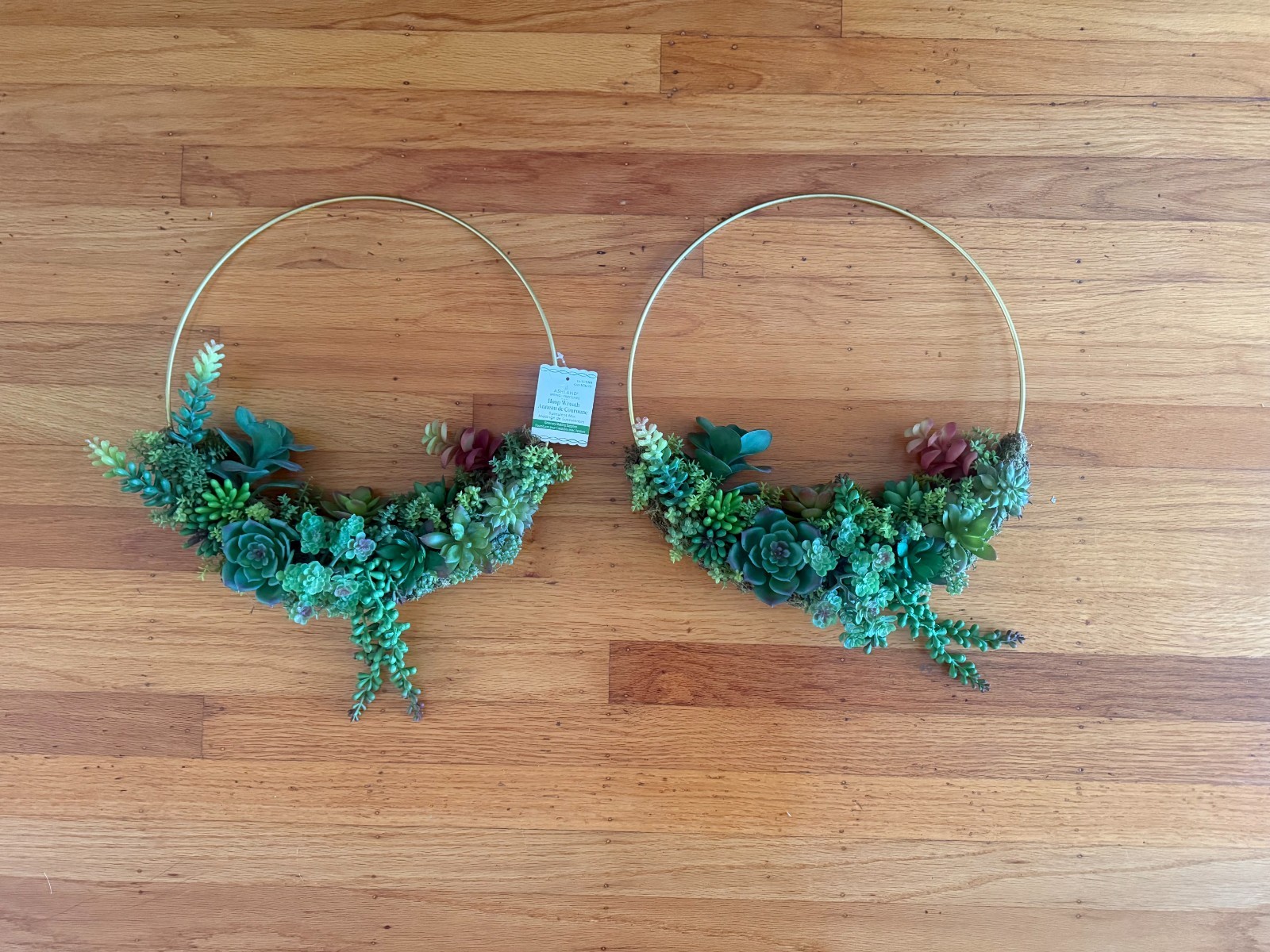 TWO (2) NWT Succulent Wreaths – ASHLAND brand (Michael’s)