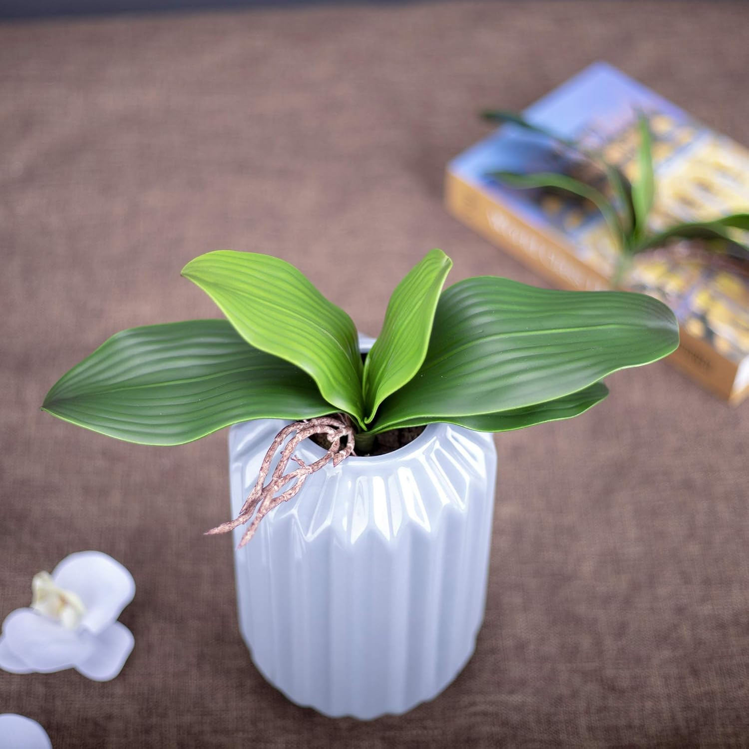 Faux Orchid Leaves Artificial Phalaenopsis Leaf Bulk 10 Inches 2Pcs Real Touch L