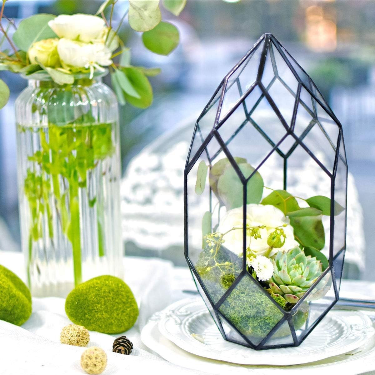 Contemporary 6.5×5.9×11 Glass Terrarium – Perfect for Succulents & Air Plants