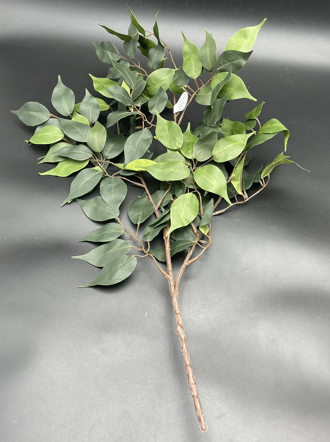 Ficus Branch Floral Stem Hobby Lobby 26″ x 15″ 738690