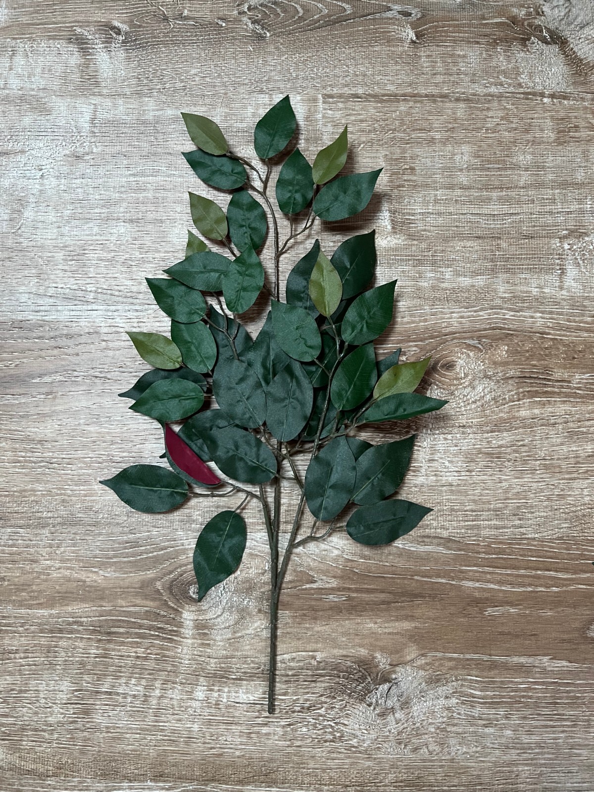 2 Ficus Bunch 24″ Red/Green Artificial Spray x 3