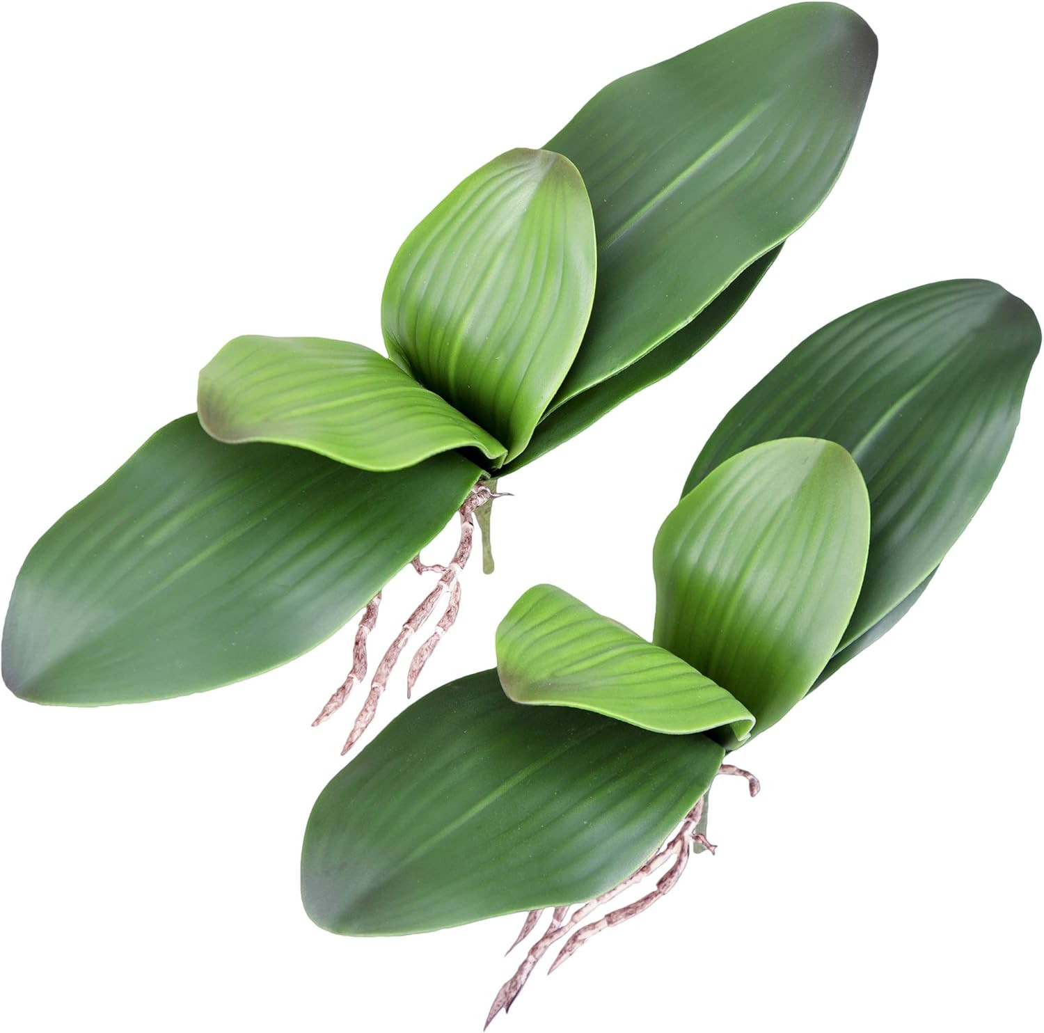 Faux Orchid Leaves Artificial Phalaenopsis Leaf Bulk 10 Inches 2Pcs Real Touch L
