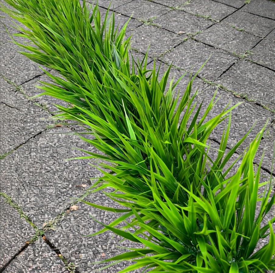 12 Bundles Artificial Grass Fake Plants，Outdoor Fake Grass for Pot UV Resista…