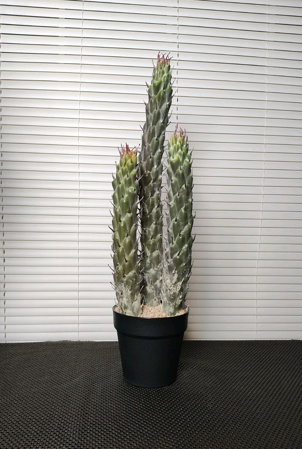 22″ Succulent Cactus Realistic Artificial Plant Home Office Decor Brand New