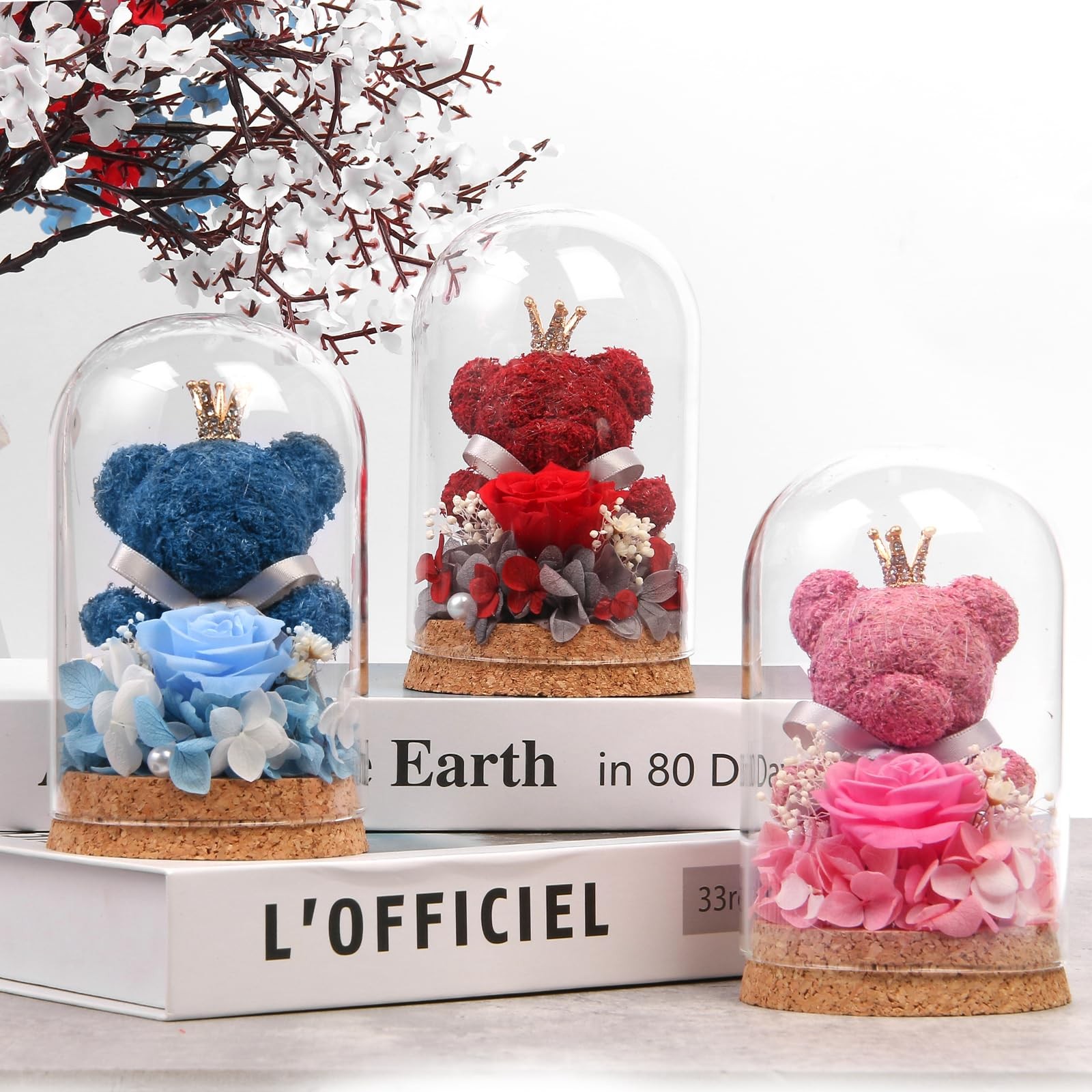 Preserved Rose Flowers Gifts for Her, Real Forever Rose in Glass Dome with Ad…