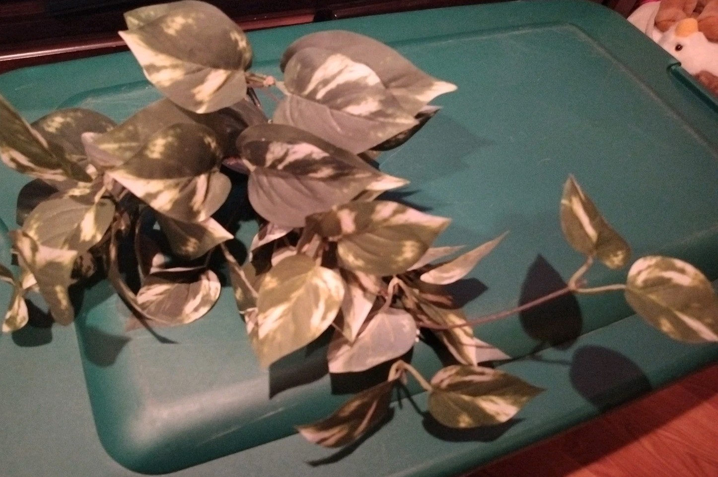 Ashland Artificial Golden Pothos plant green/white marbled leaves hanging stems
