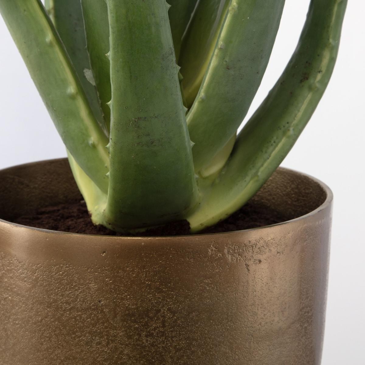 Uttermost 60217 Arabia Green with Antique Brass and Matte Black Aloe Planter