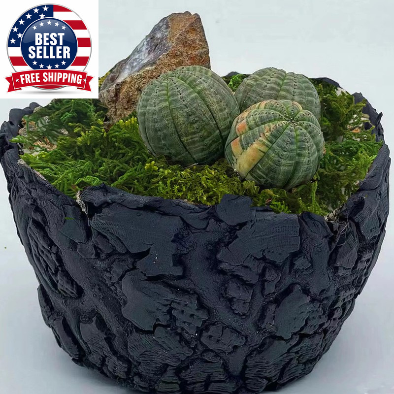 Artificial Moss Green for Potted Plant Orchid Potting Mix Peat Moss Pole Craft