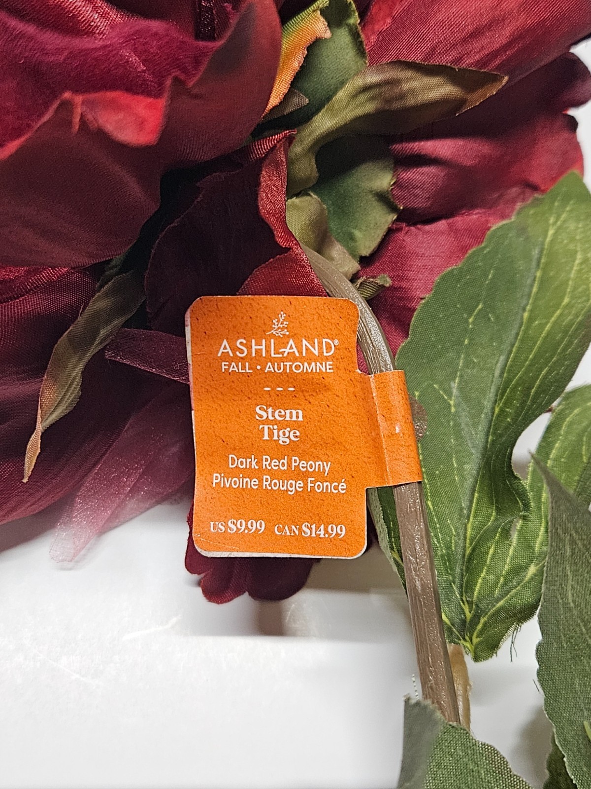 Ashland Dark Red Peony Stem