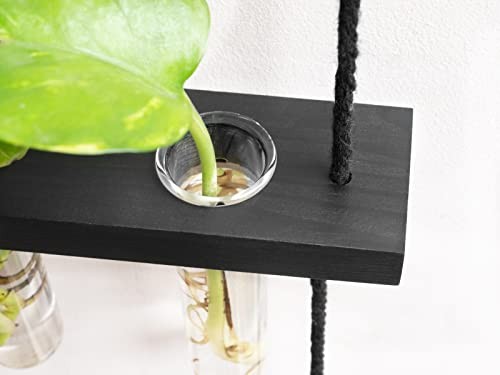 3 Tiered Wall Hanging Plant Terrarium with Wooden Stand Mini Test Medium Black