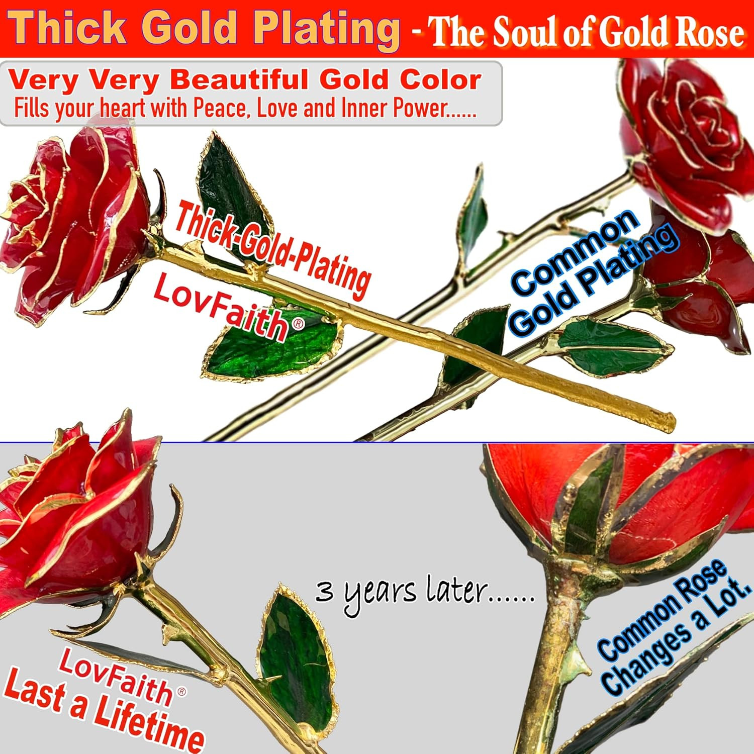 24K Gold Dipped Rose with Crystal Vase, Love‘S Gift for Her Wife | Top Quality f