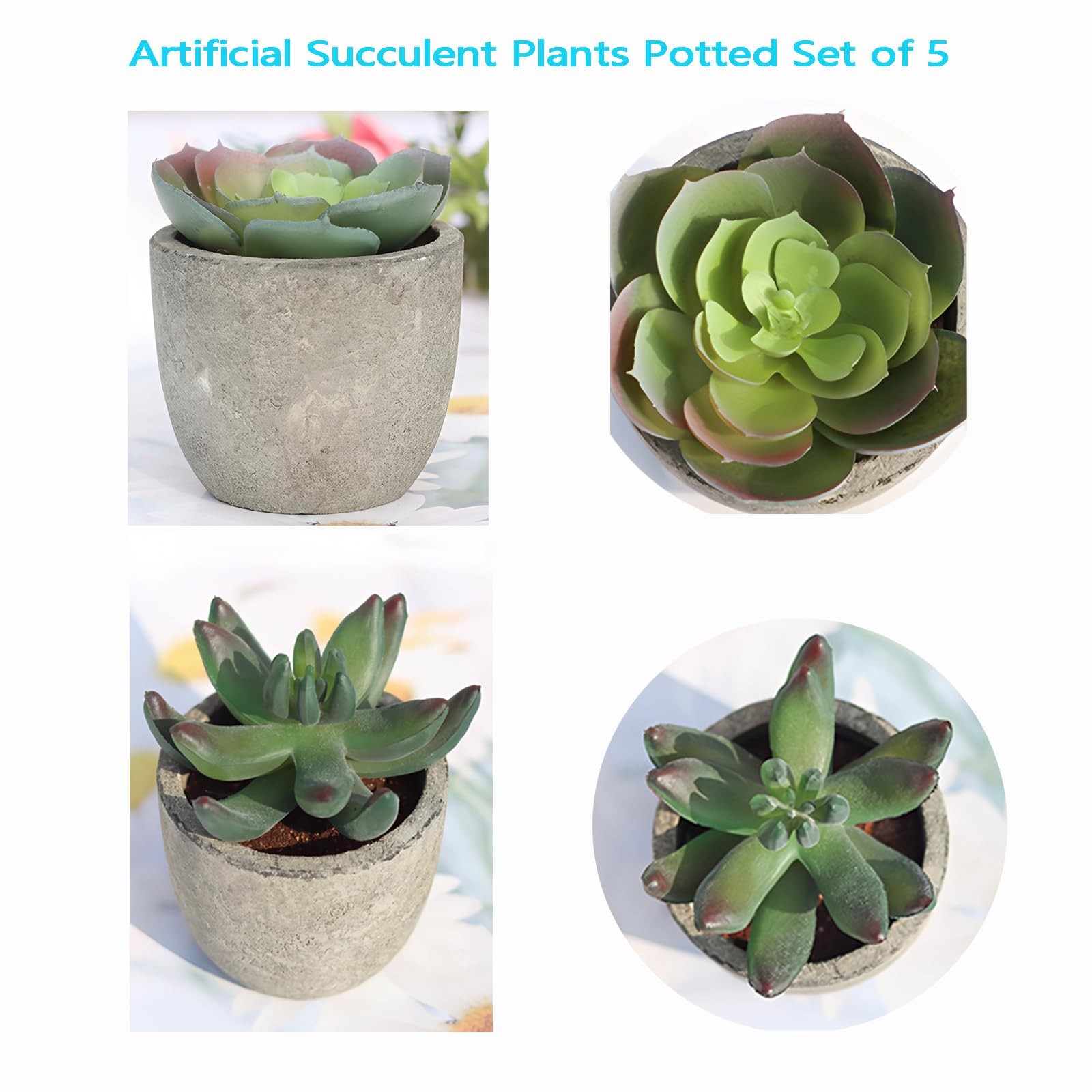 Artificial Succulent Plants Potted Set of 5Faux Succulent Plants Potted Reali…