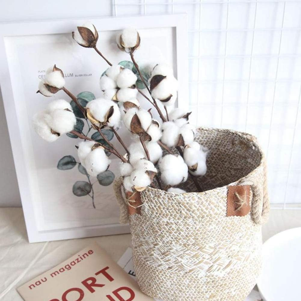 Cotton Stems 8 Packs with 15 Bolls, Natural Dried Flowers Cotton Sprigs for Vase