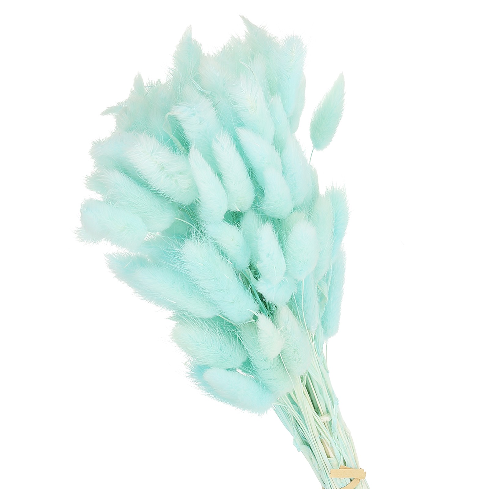 15.7in Bunny Tails Dried Flowers,80pcs Pampas Grass Decor Rabbit Tail,Light Blue