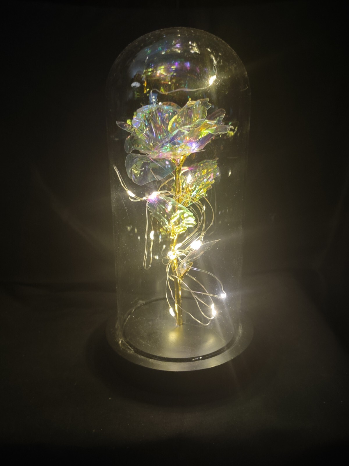 Enchanted Forever Rose Flower in Glass Dome Cloche Dome LED Lighted