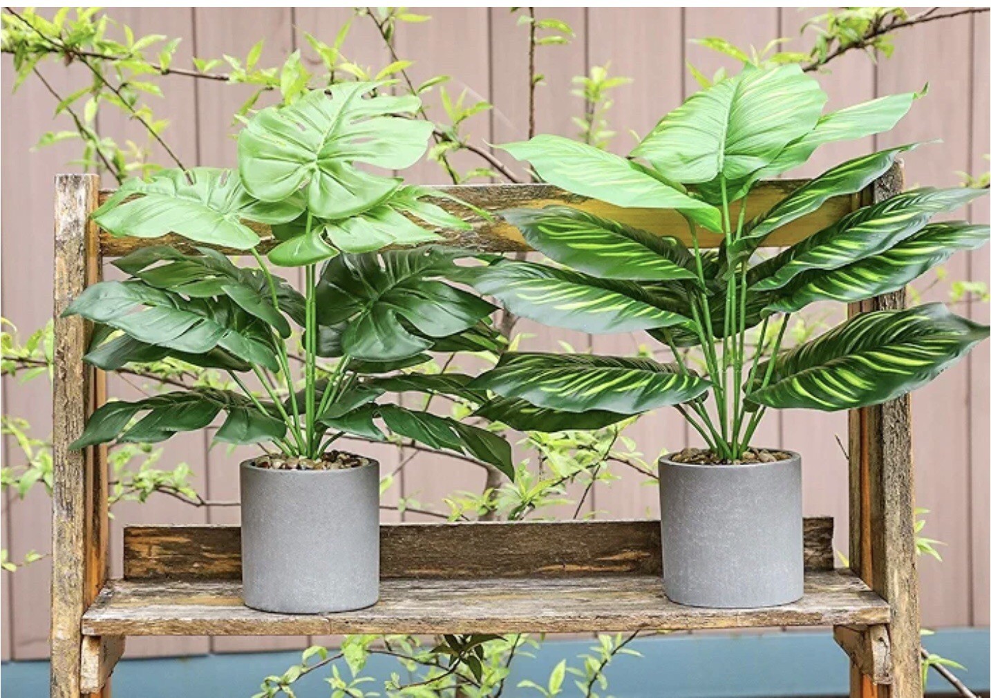 2 Small Artificial Fake Faux Plants➕Pots➕Stones 🌱Monstera➕Apple Leaf 📏16” Tall