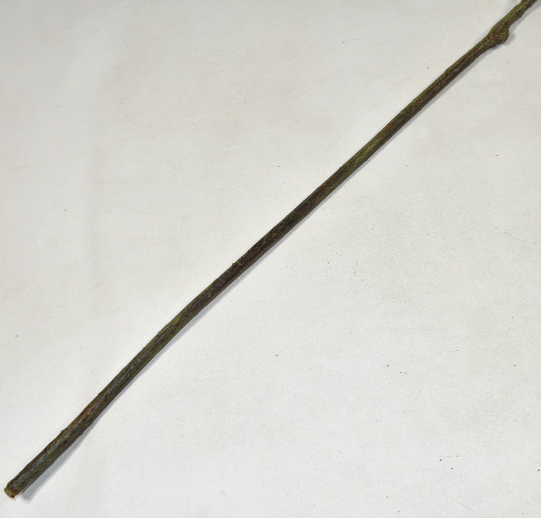 Pottery Barn Faux Ivory Hops Branch Artificial Flowers 42″ Stem NEW