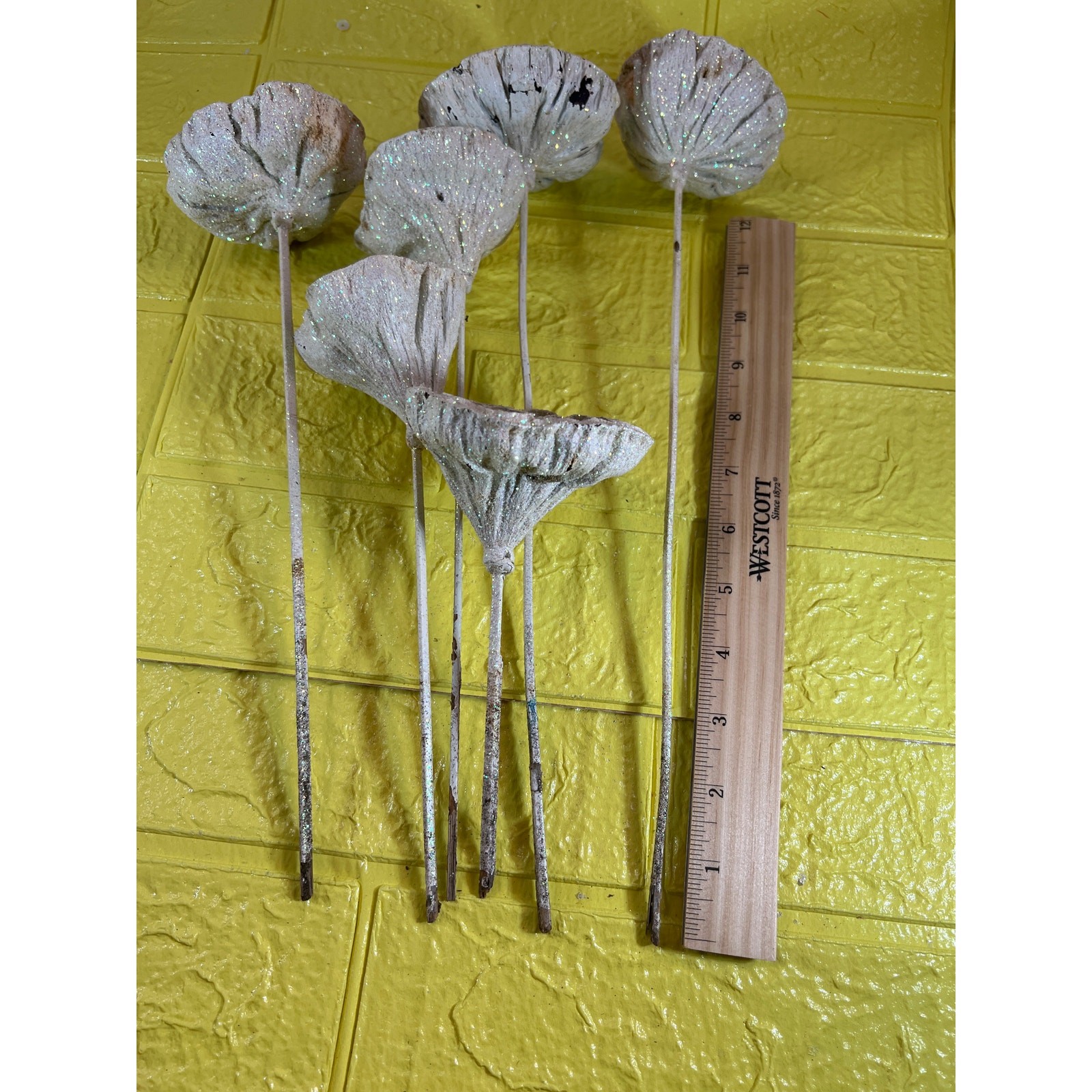 Vintage Lotus Seed Pod Floral Picks Christmas Holiday White Silver Set