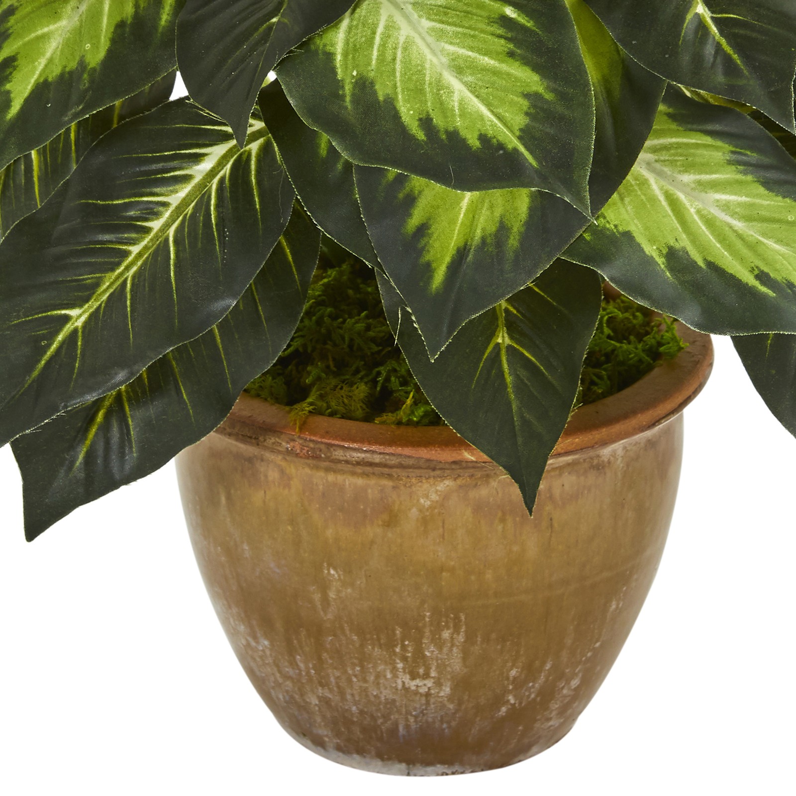 Nearly Natural Dieffenbachia Artificial Plant in Ceramic Planter in Green/Tan