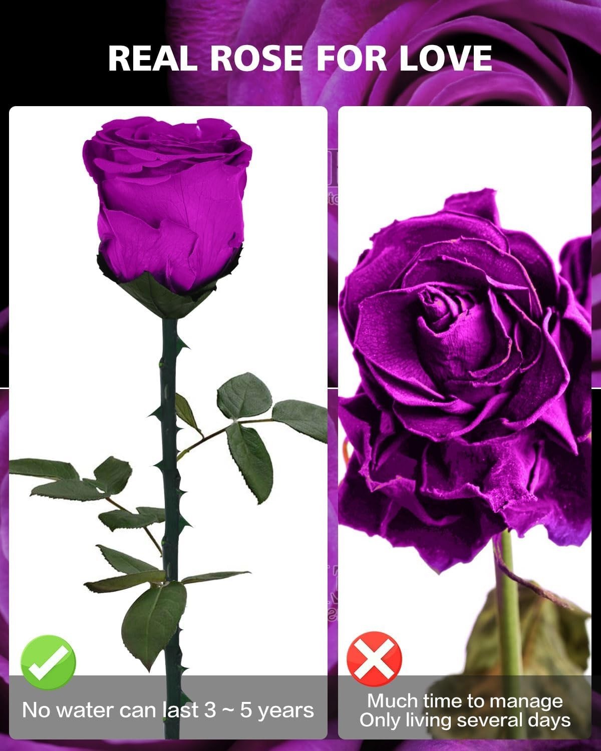 Preserved Flower Rose Gift for Women – Roses for Girlfriend, Grandma, Mom, Wife