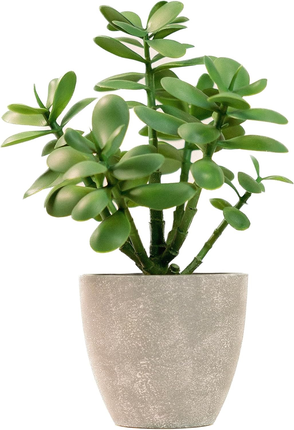 12” Artificial Jade Plant in Minimalist Gray Pot, Luxury Real-Touch Faux Succule
