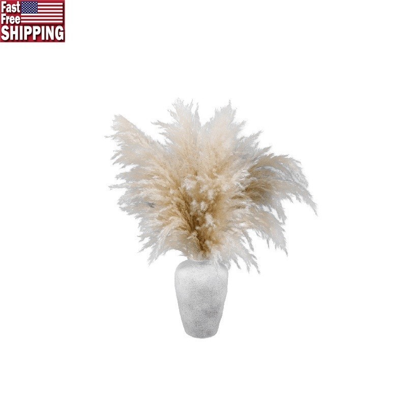 22″ Dried Pampas Grass Arrangement in Ceramic Vase Boho Home Decor Accent New