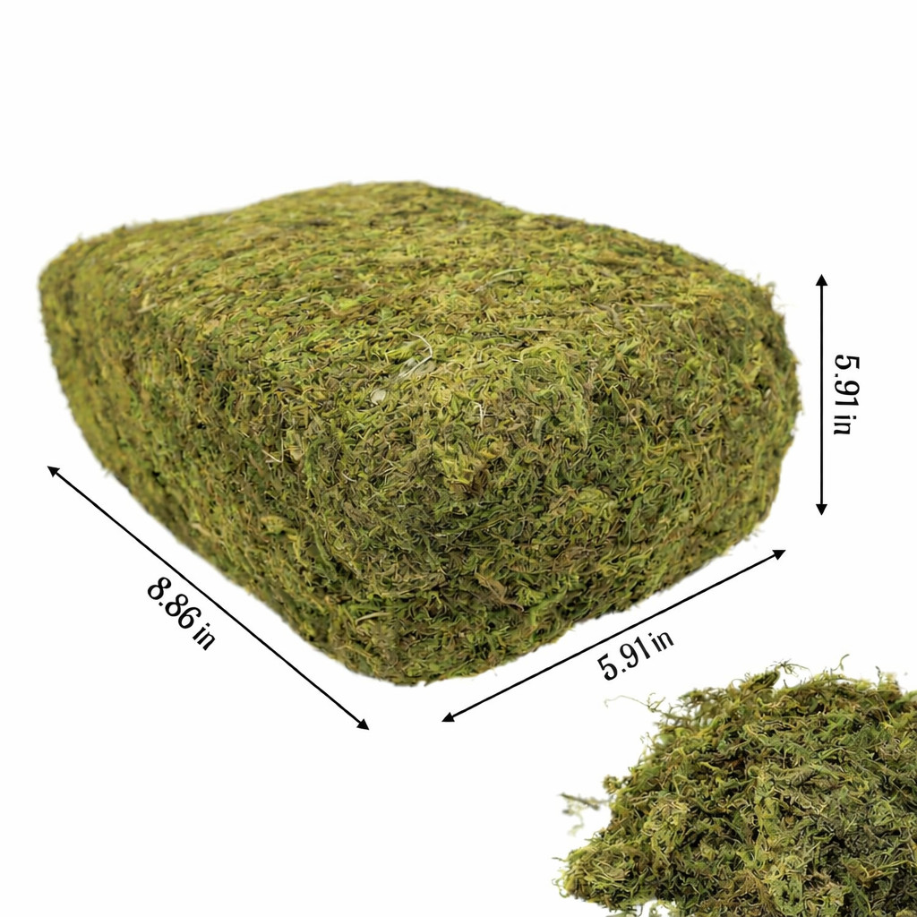 Artificial Moss For Diorama Micro-Landscape Terrarium