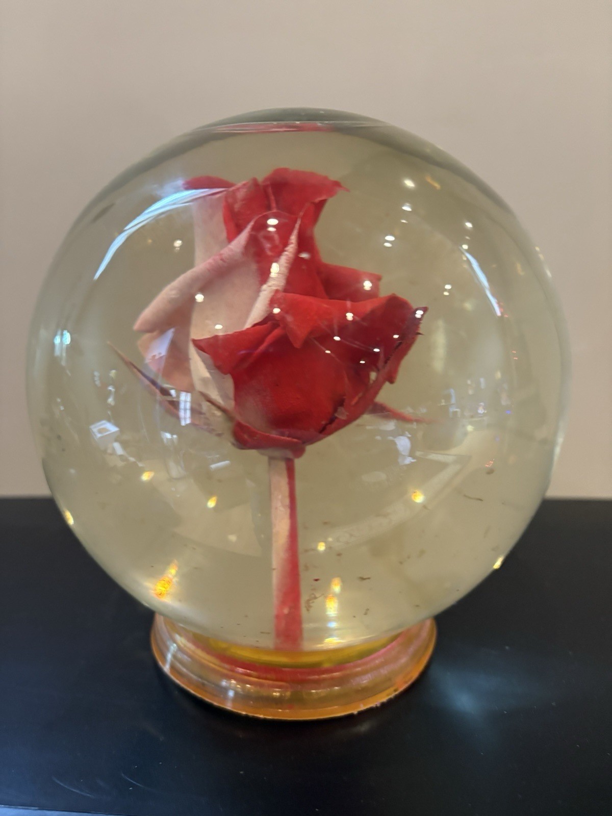 Vintage Preserved Real Rose in Glass Water Dome Globe