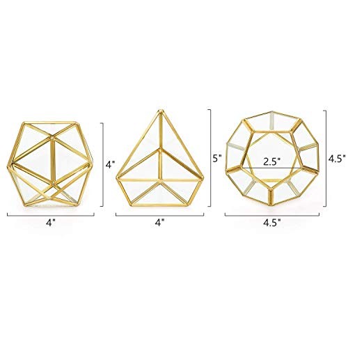 Artificial Succulent in 3 Pack Mini Glass Geometric Gold,green,clear