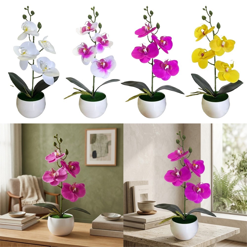 Four Flower Butterfly Orchid Bonsai Simulation in Round Belly Pot Decor