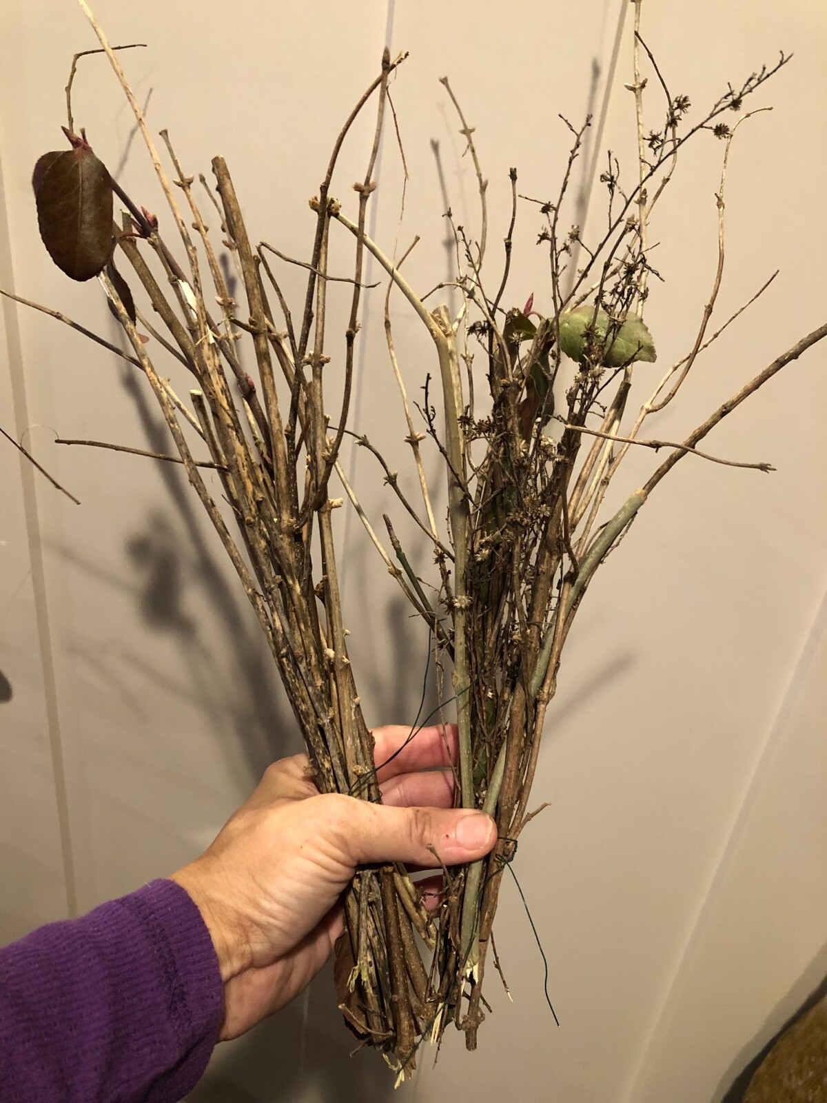 Wood Branch Mixed Twig Bunches 6-12″ Variety Med to Fine~Crafts *Farmhouse Decor