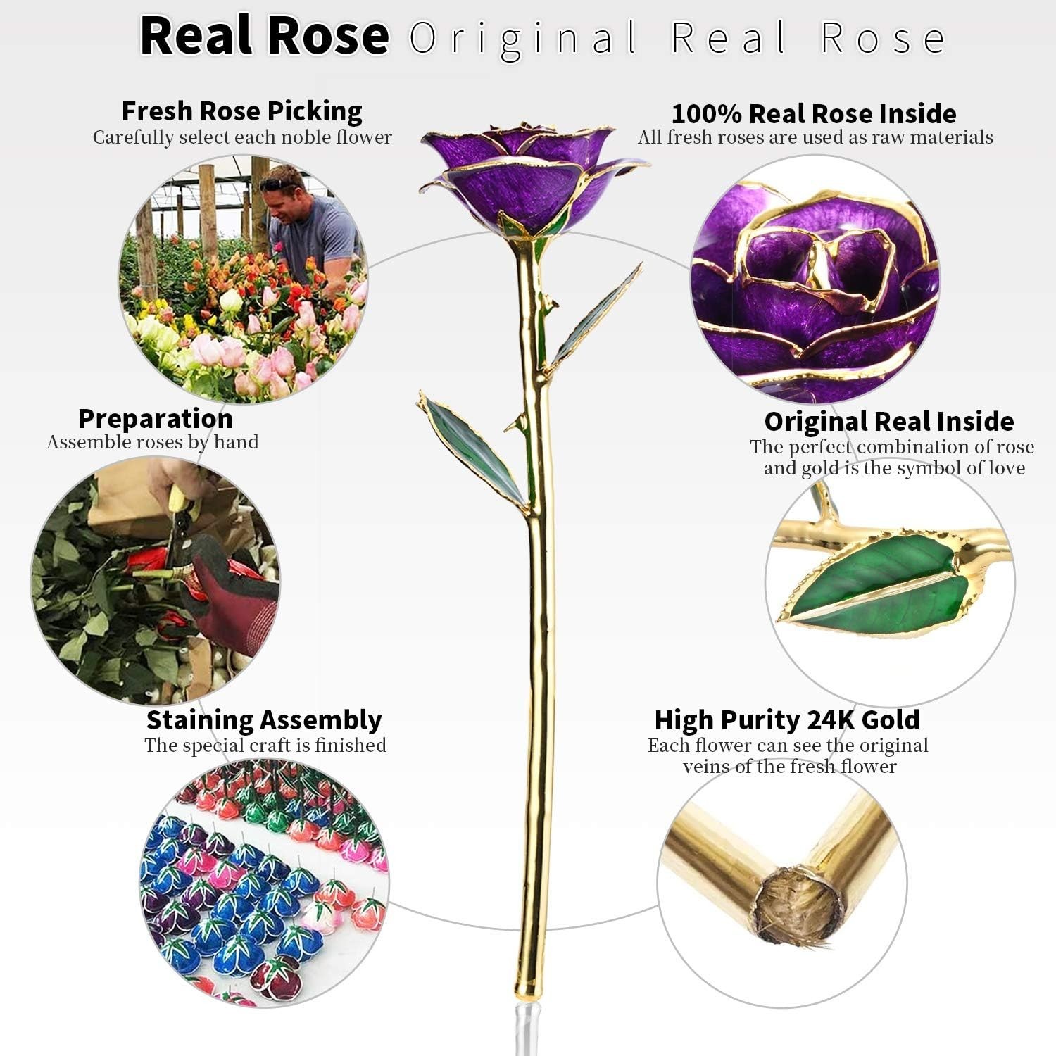 Unique 24k Gold Dipped Purple Rose – Perfect Anniversary and Wedding Gift