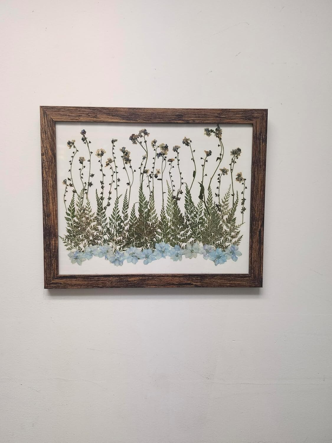 Pressed Flower Art Wall Decor, Rustic Wood Frame,forget me not,larkspur and Fern